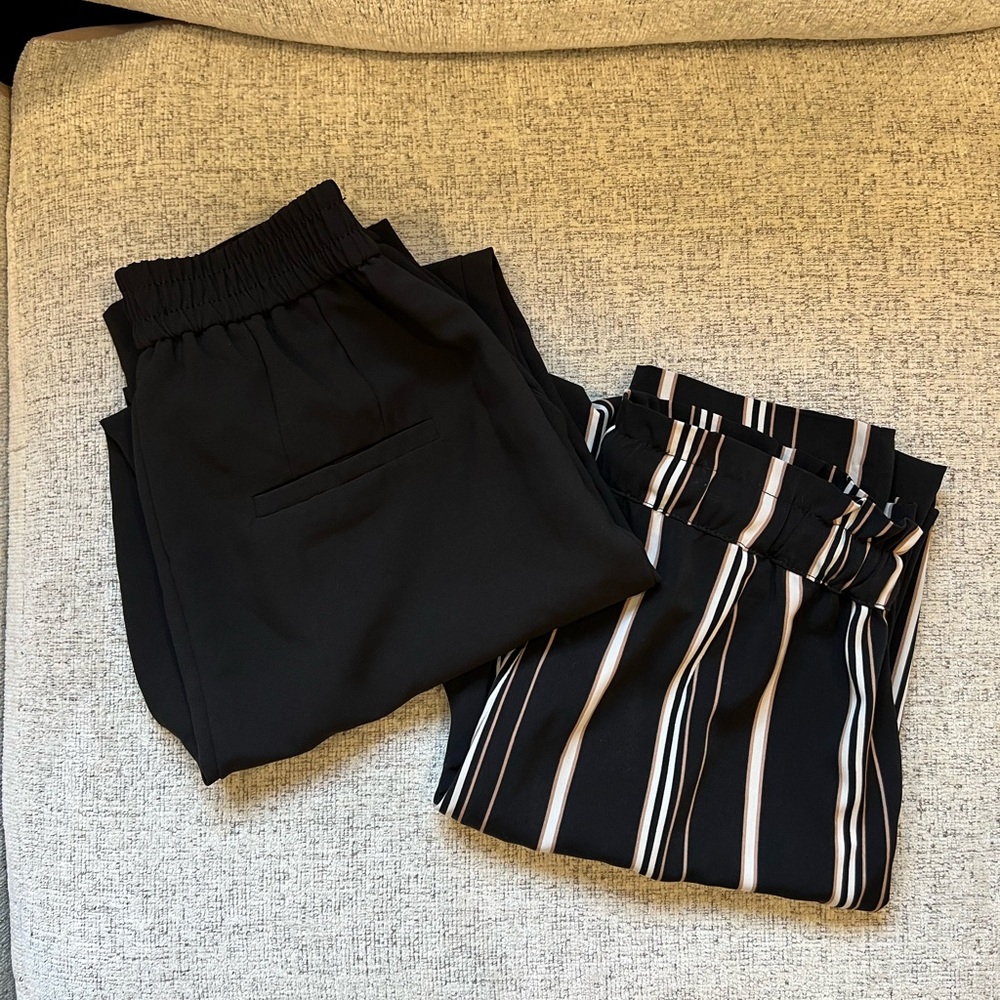 Dynamite Dress Pant Bundle